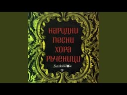 Кацнал бръмбар на трънка