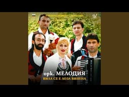 Добруджанска сборенка (instrumental)