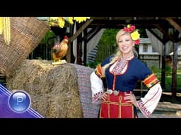 Дядовите Добреви пет снахи